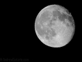 20110815-20110815-_NIK4928