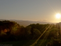20120225-_NIK8989